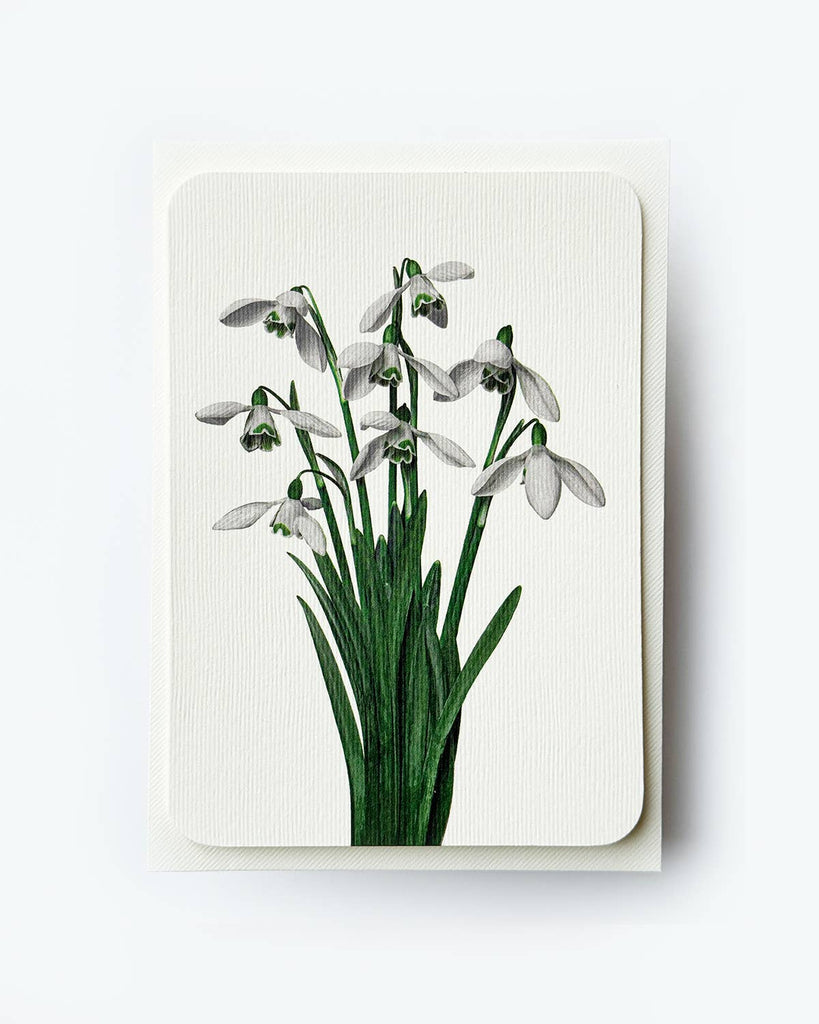 Snowdrops Greeting Card