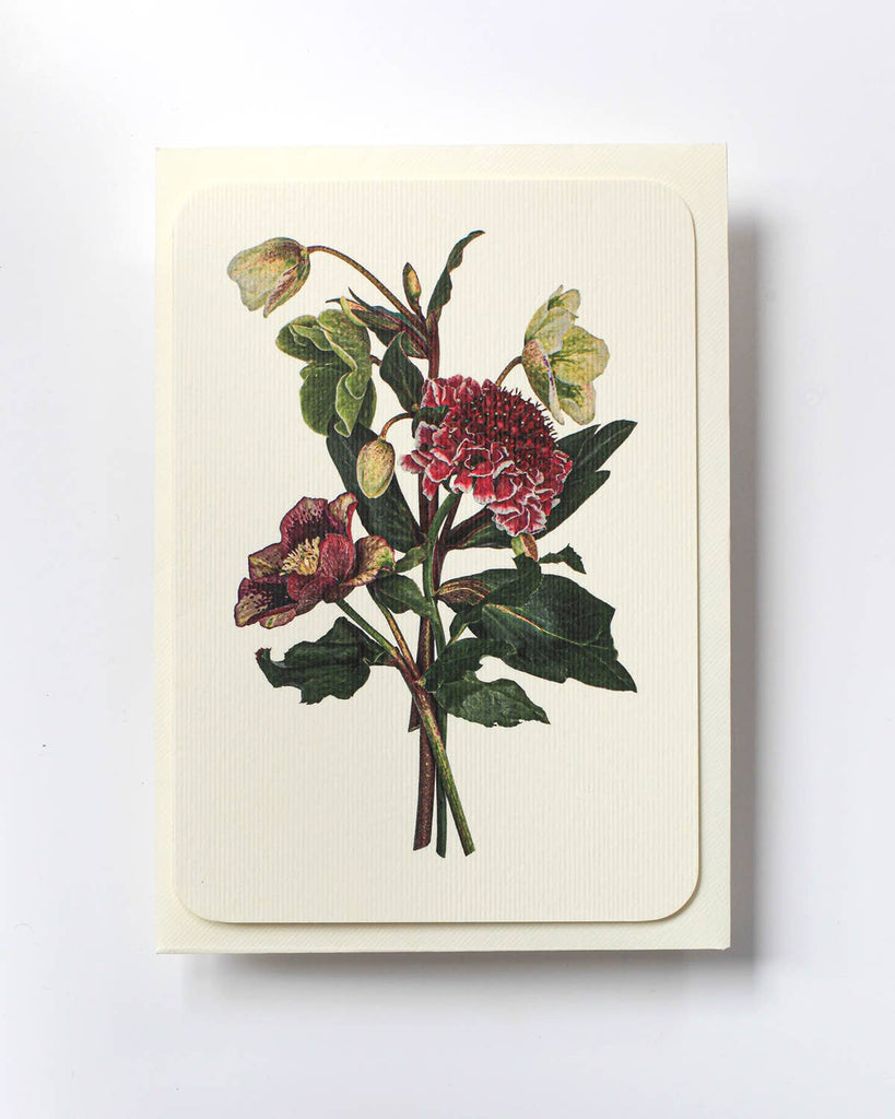 Posy of Hellebore & Scabiosa I Greeting Card