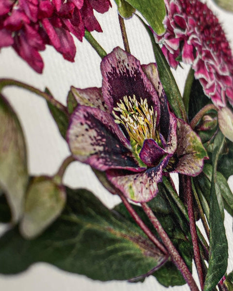 Posy of Hellebore & Scabiosa I Greeting Card