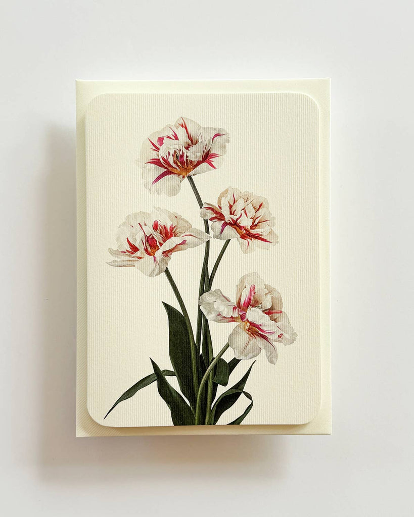 Tulips Greeting Card