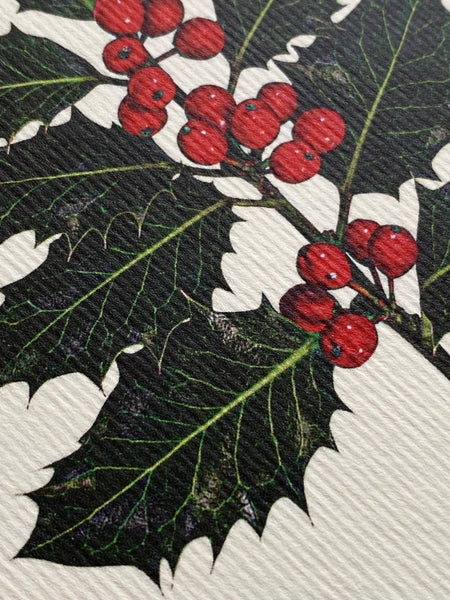 Holly Greeting Card