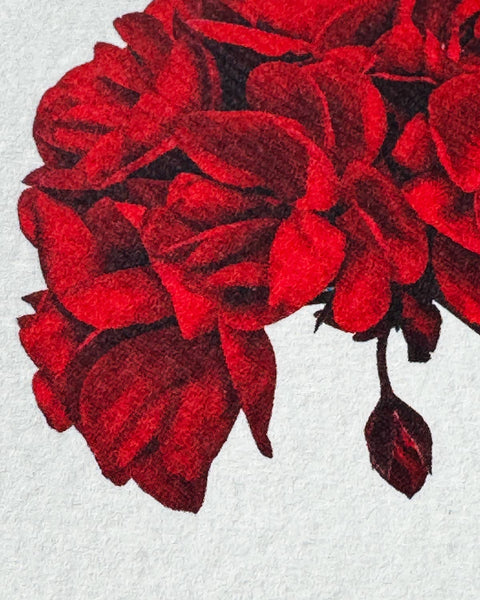 Geranium Greeting Card