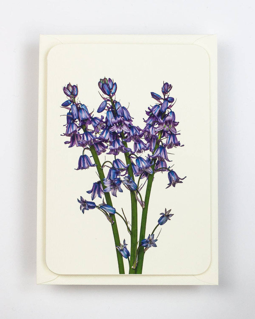 Bluebells Greeting Card