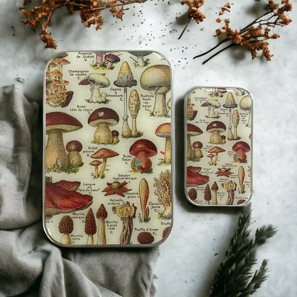 Mushroom Notions Tin