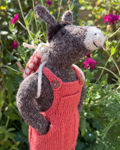 Horacio the Donkey Yarn Kit