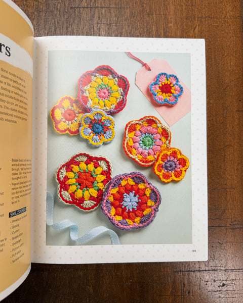 The Beginner's Guide to Crochet by Claire Montgomerie