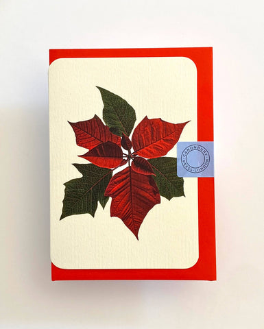 Poinsettia Notecard (red envelope)