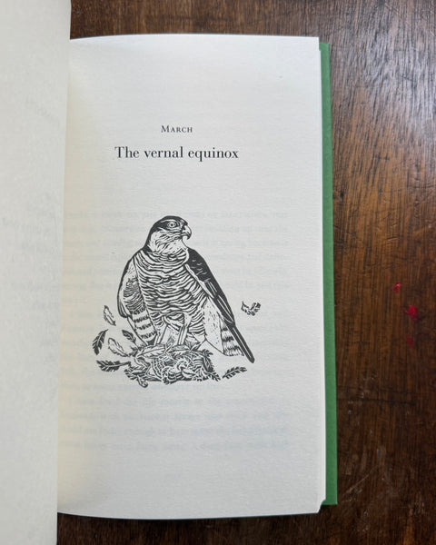 Spring by Michael Morpurgo