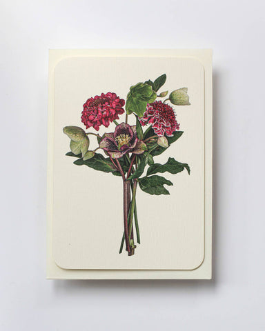 Posy of Hellebore & Scabiosa II Notecard