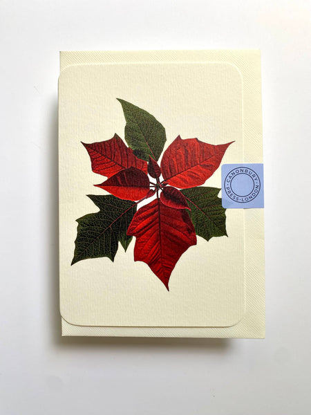 Poinsettia Notecard