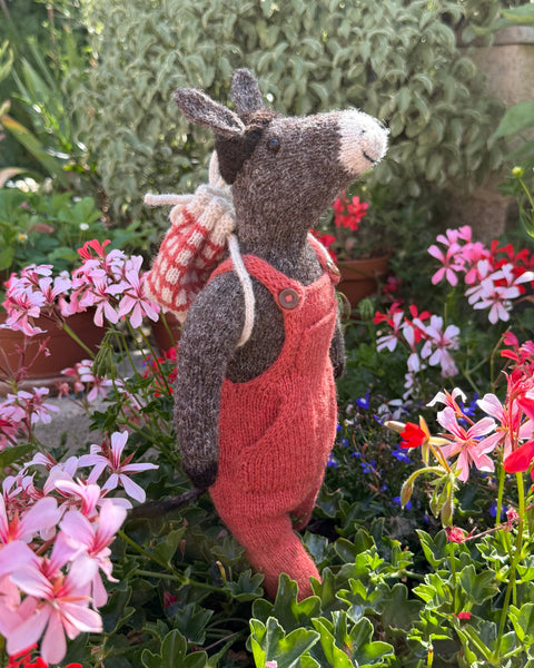 Horacio the Donkey Yarn Kit