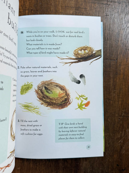 A Field Guide to Spring by Gabby Dawnay & Dorien Brouwers