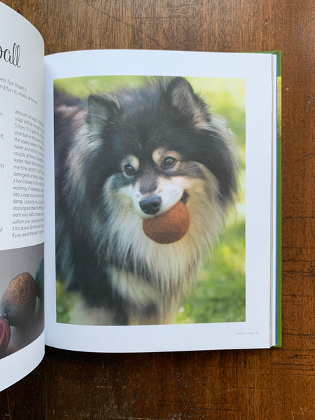 Knits for Dogs by Stina Tiselius
