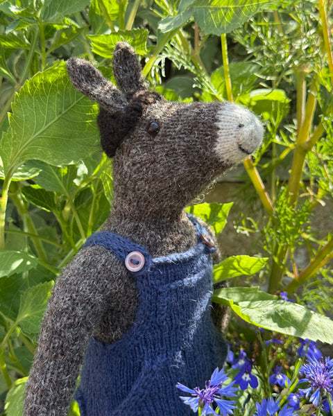 Horacio the Donkey Yarn Kit