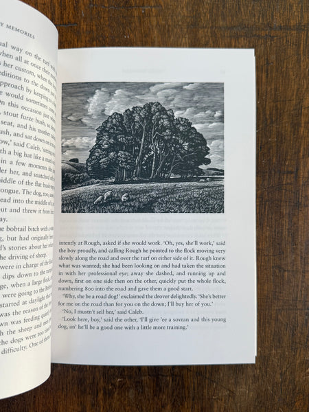 A Shepherd's Life by W.H. Hudson