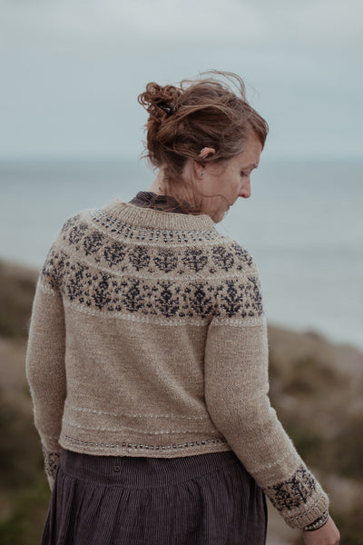 The Island and the Forest: A Knitted Correspondence