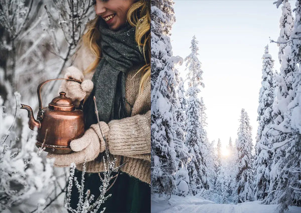 Nordic Winter Cookbook by Viola Minerva Virtamo