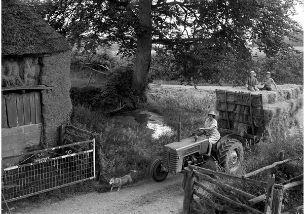James Ravilious Greetings Cards