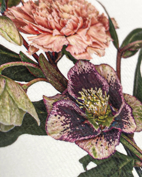 Posy of Hellebore & Carnation Notecard