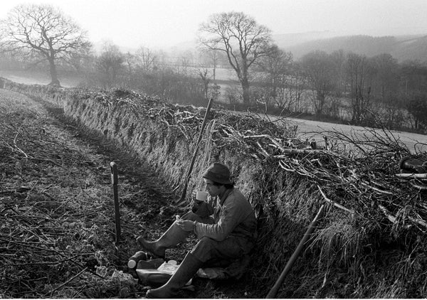 James Ravilious Greetings Cards