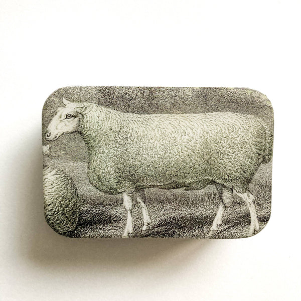 Sheep Tin with Magnet + Notions