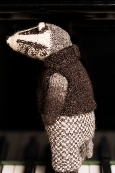 Edward the Badger Yarn Kit