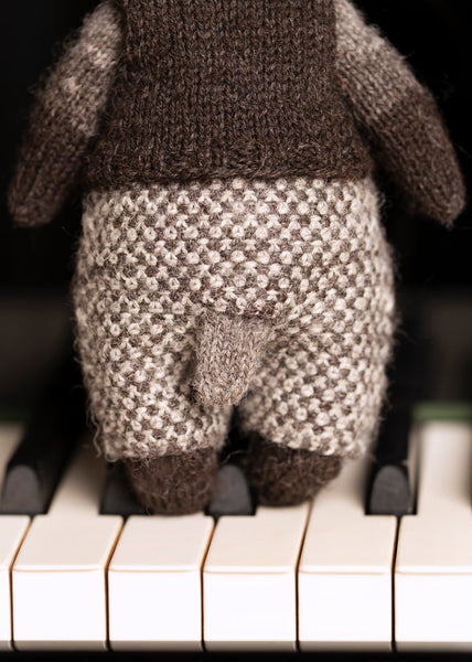 Edward the Badger Yarn Kit