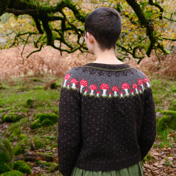 Fairy Ring Cardigan Knitting Pattern by Katie Green