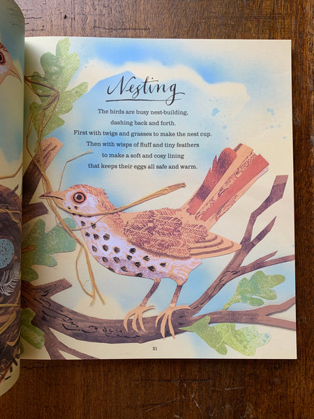A First Book of Nature by Nicola Davies & Mark Hearld