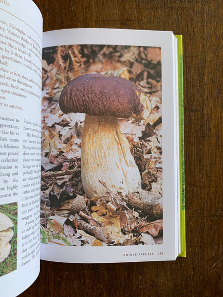 River Cottage Handbook - Mushrooms