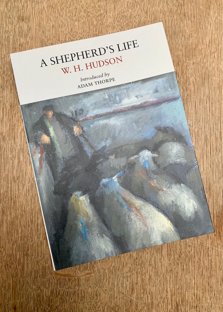 A Shepherd's Life by W.H. Hudson